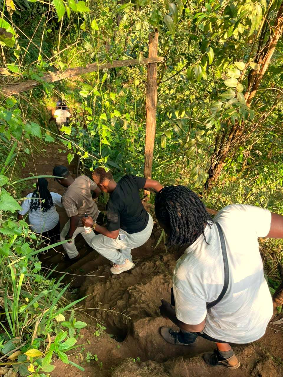 Friends helping each other up a steep forest trail