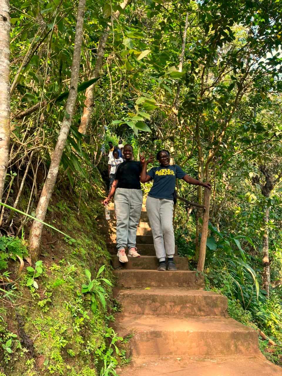 A group hiking up the steps of a forest trail