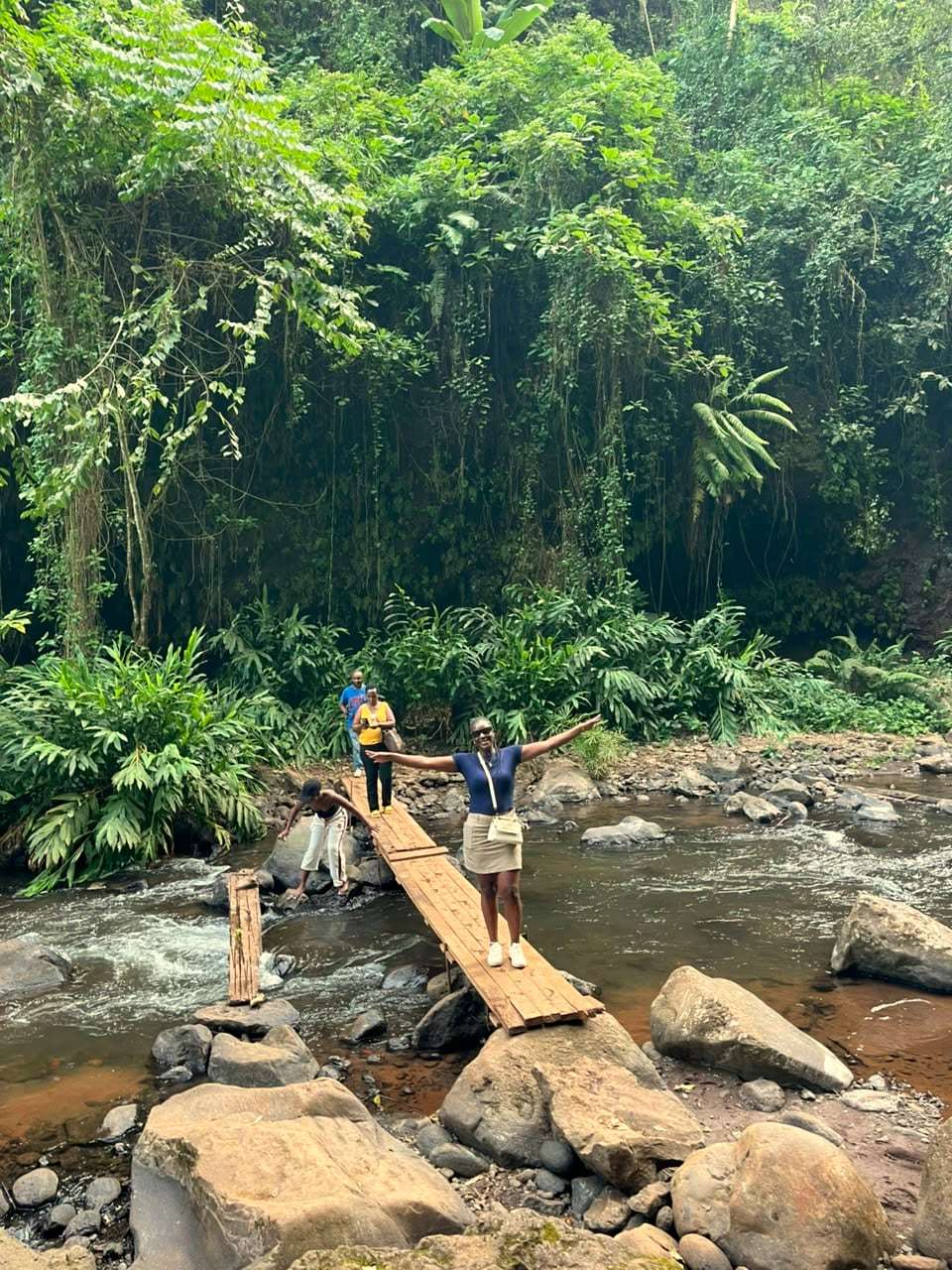 A traveller crossing a wooden bridge over a forest river